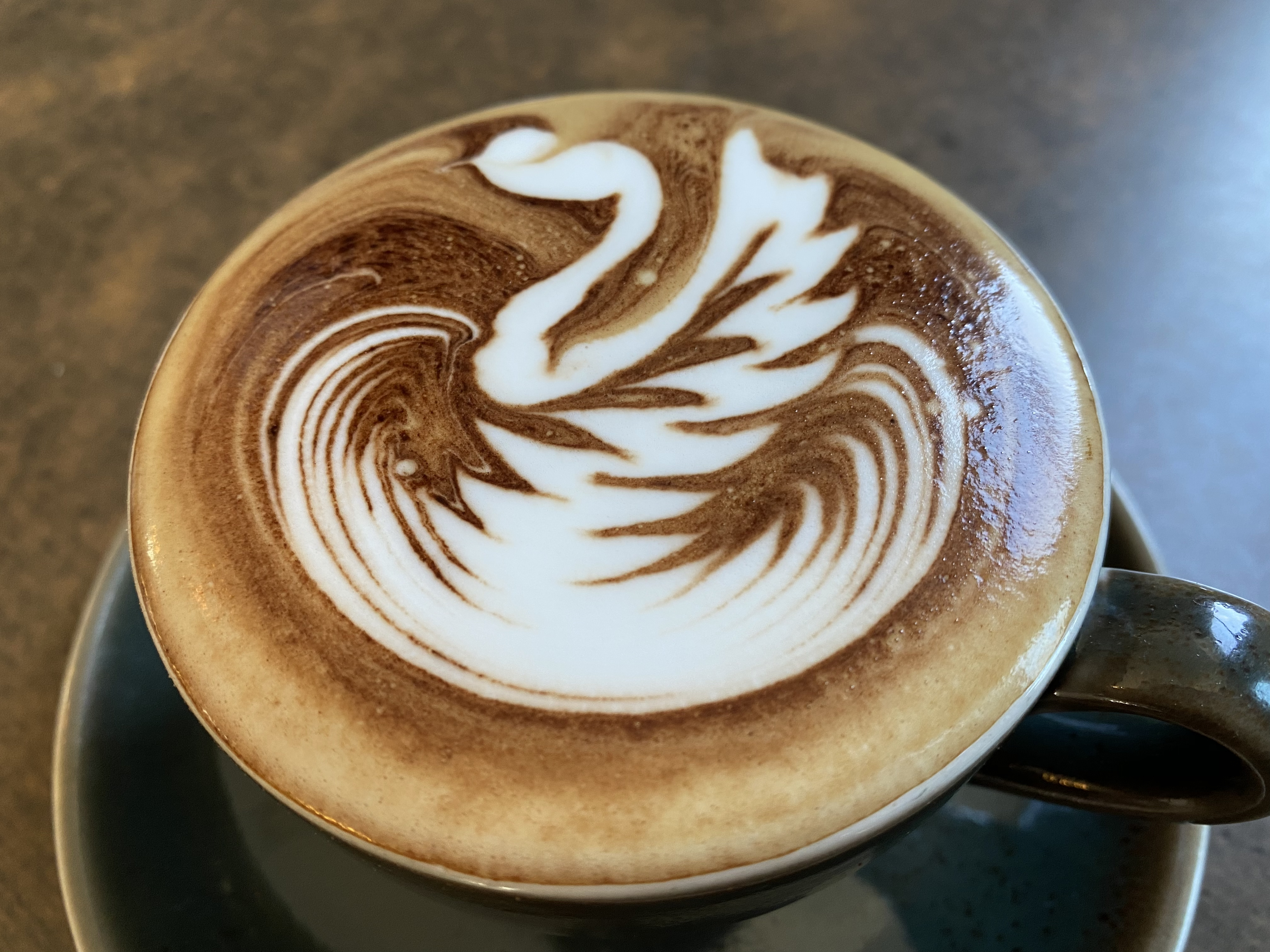 Latte art coffee at The Foliage Cafe North Sydney